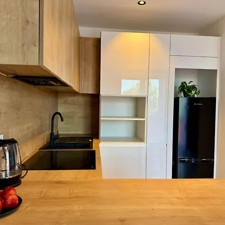 Podlesie Lejlighed Przeciszow